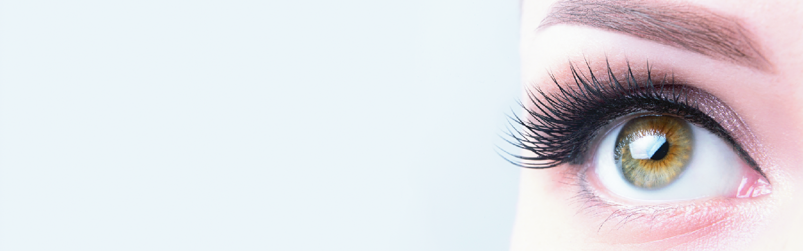 Tavola disegno 1-100